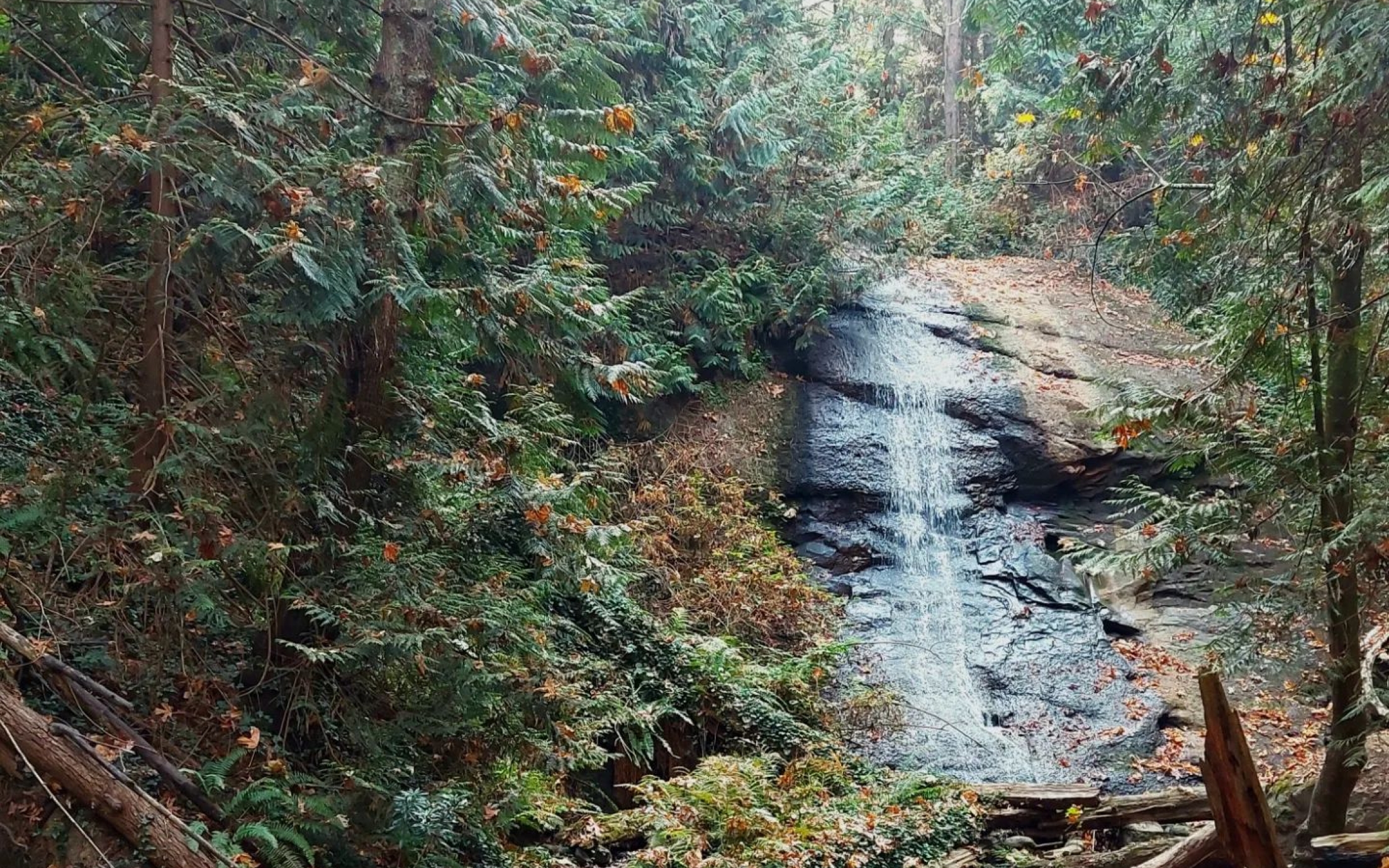Waterfall at Beach Estates Park